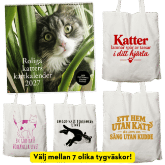 Kattpaket: Roliga katters kattkalender 2027 + valfri tygväska