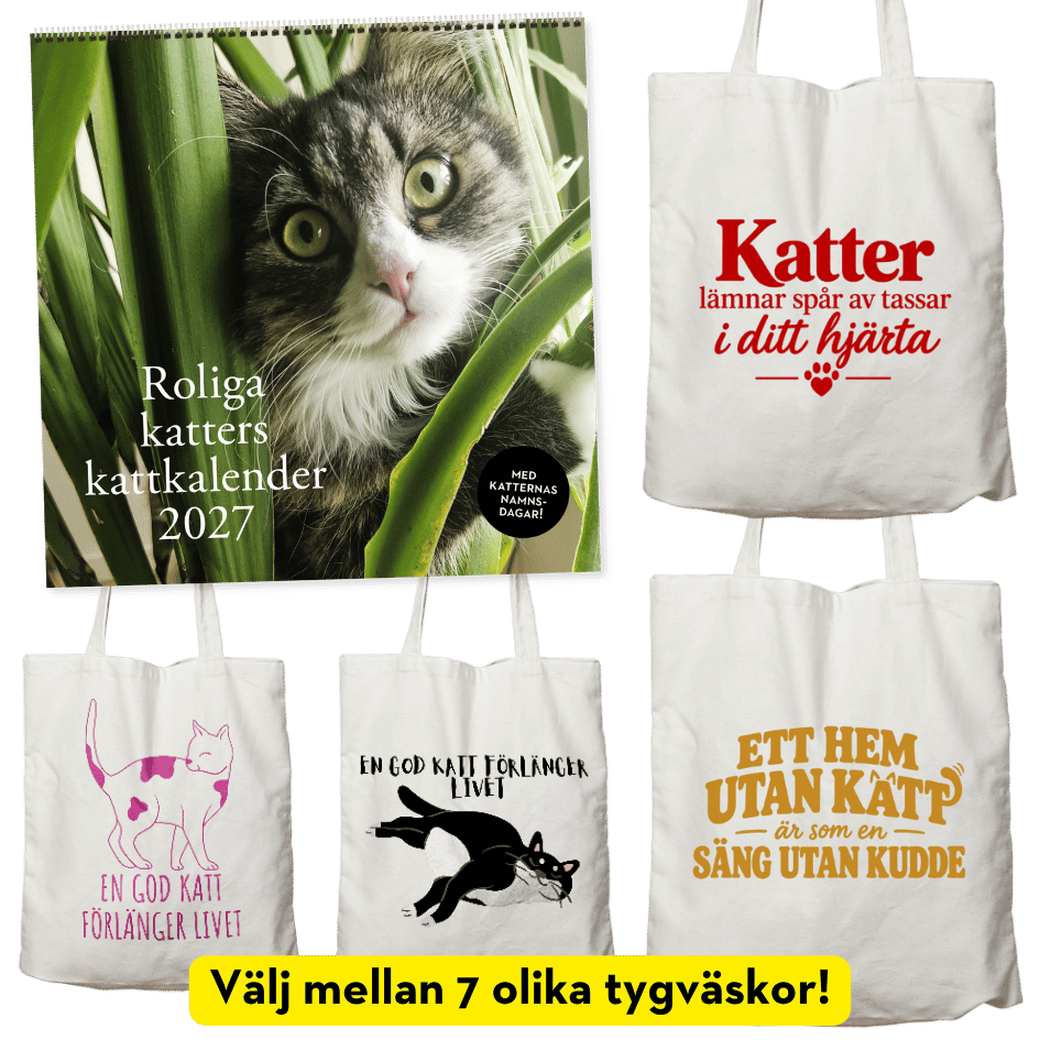Kattpaket: Roliga katters kattkalender 2027 + valfri tygväska