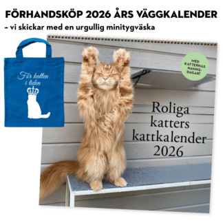 Roliga katter: Kattkalender 2026 (förhandsköp/tygväska på köpet)