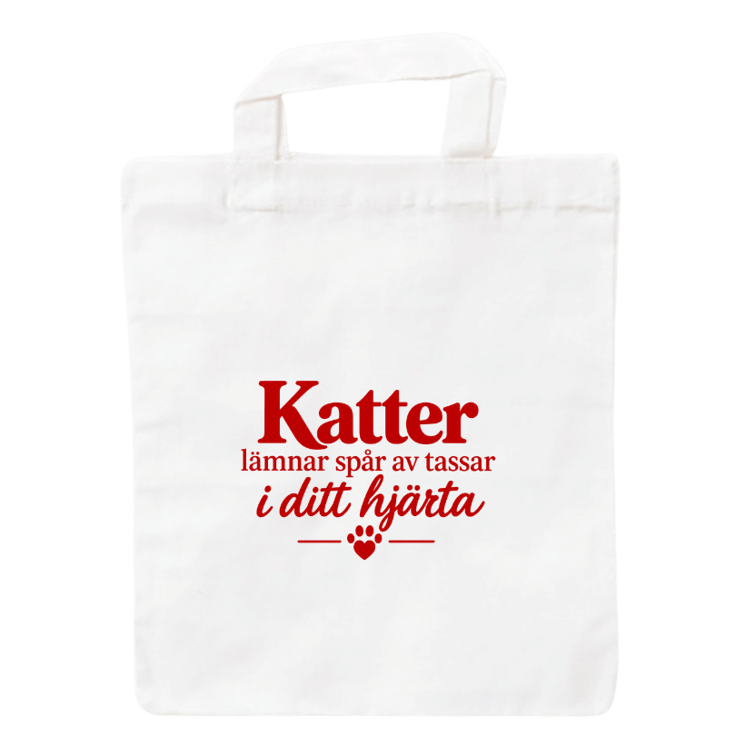 Roliga katter: Kattkalender 2027 (förhandsbeställning) - Image 13