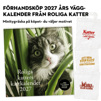 Roliga katter: Kattkalender 2027 (förhandsbeställning)