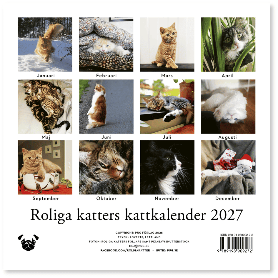 Roliga katter: Kattkalender 2027 (förhandsbeställning) - Image 9