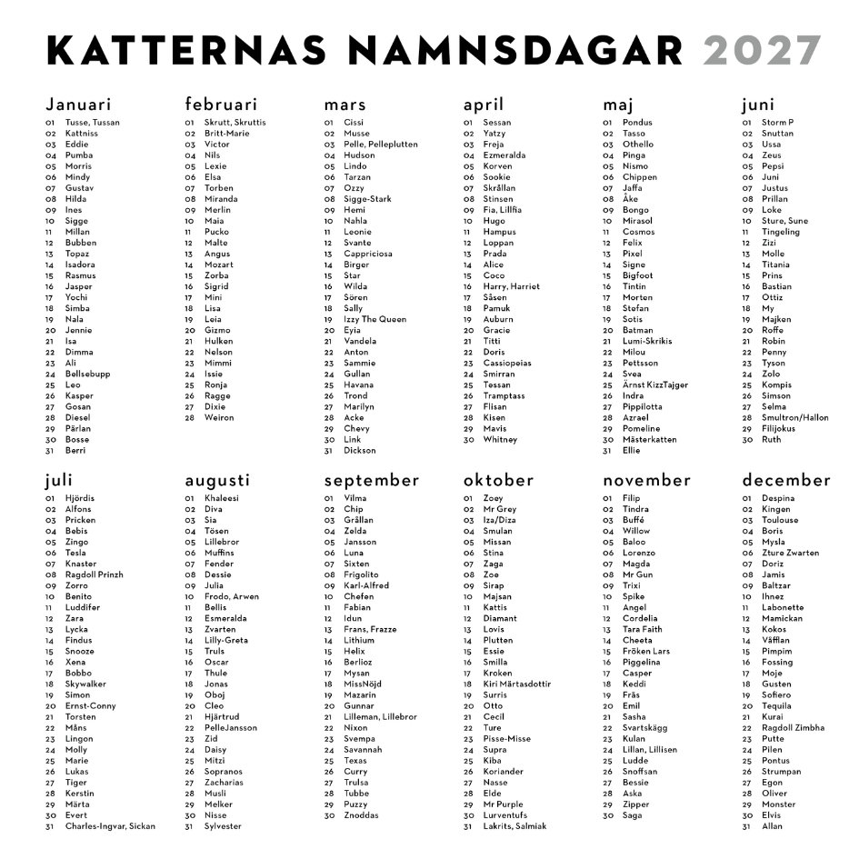Roliga katter: Kattkalender 2027 (förhandsbeställning) - Image 8